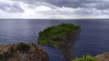 Isola di Capraia