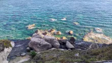 Bonifacio