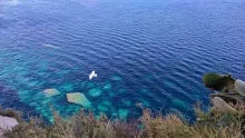 Bonifacio