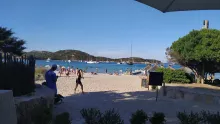 Rondinara