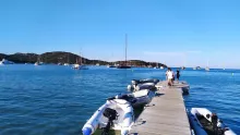 Rondinara