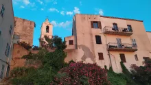 Calvi