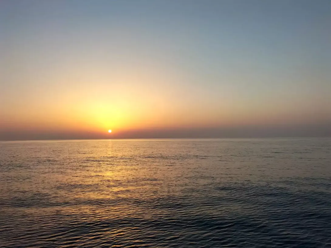 Viticcio - Isola d'Elba